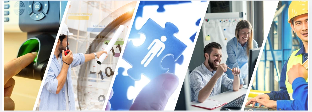 Control de acceso, planificación, recursos humanos y equipos de trabajo